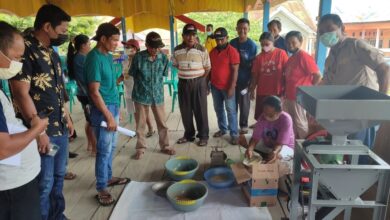 Photo of Pembuatan Pakan Ikan Rampungkan Program Keserasian Sosial Desa Pantangolemba