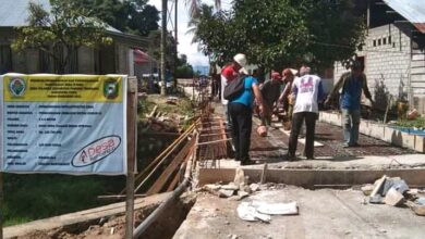 Photo of Pemdes Tolambo Bangun Jembatan di Sektor Pertanian