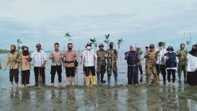 Photo of Lestarikan Alam, Pantai Mawomba Tojo Ditanami Mangrove