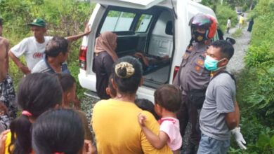 Photo of Asyik Rekreasi, Ayah dan Anak di Touna Meninggal Tertimpa Pohon