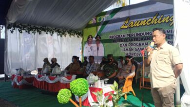 Photo of Pemkab Morowali Luncurkan Program Jamsostek Hingga Program Gratis Pengolahan Lahan Sawah dan Panen