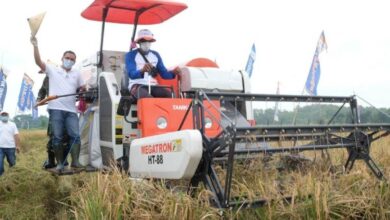 Photo of Fokus Jawab Tantangan Produktivitas Pertanian, PKT Optimis Perluas Lahan Pengembangan Hingga 5 Kali Lipat di 2022