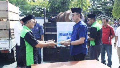 Photo of Pemda Poso Sediakan Hewan Kurban Tiga Ekor Sapi Untuk Umat