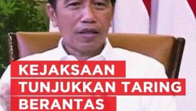 Photo of Presiden RI : Kejaksaan Tunjukan Taringnya Dalam Penyelesaian Kasus Korupsi Besar