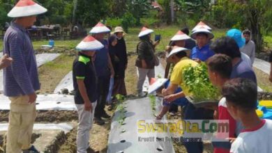 Photo of Program Gertam Kementan dan Sinergisitas, Ponpes Wali Songo Tanam 26 Ribu Bibit Cabai