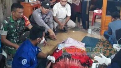 Photo of Mencari Sayur, Seorang Ibu di Tolitoli Tewas Diterkam Buaya