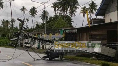 Photo of Padam Listrik Akibat Pohon Tumbang, PLN ULP Tambu Donggala Kerahkan Tim