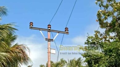 Photo of Listrik Terganggu Akibat Pohon Tumbang, PLN UP 3 Tambu Terjunkan Tim Pulihkan Pemadaman