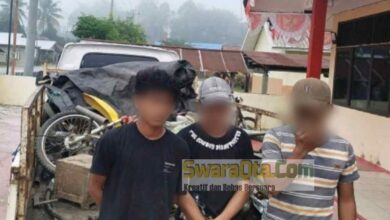 Photo of Mencuri di Wilayah Pamona Timur, Tiga Warga Sulsel Ditangkap