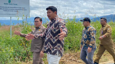 Photo of Lahan Badan Bank Tanah di Poso Disiapkan Untuk Investasi Pengembangan Industri Sapi Perah