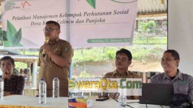 Photo of Y.PAL Poso Gelar Pelatihan Manajemen Kelompok Perhutanan Sosial