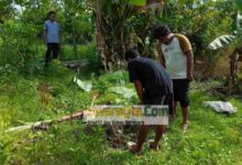 Photo of Asyik Menggali Lubang, Warga Desa Kilo Poso Temukan Senjata