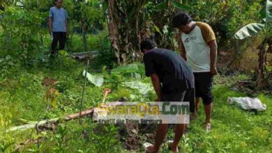 Photo of Asyik Menggali Lubang, Warga Desa Kilo Poso Temukan Senjata