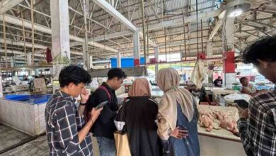 Photo of Mengintip Realita Harga Ayam di Pasar: Antara Mekanisme Pasar dan Aturan Pemerintah