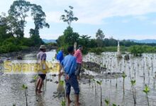 Photo of Program CSR Pertamina Patra Niaga FT Poso, Catat Keberhasilan Konservasi Pesisir dan Budidaya Kepiting di Pantai Popakuni