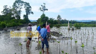 Photo of Program CSR Pertamina Patra Niaga FT Poso, Catat Keberhasilan Konservasi Pesisir dan Budidaya Kepiting di Pantai Popakuni